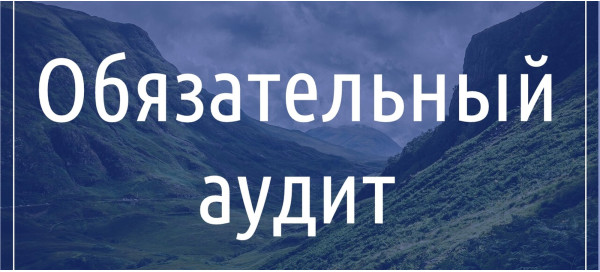 Обов'язковий аудит
