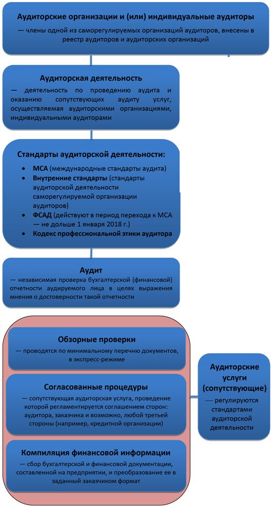  Структура деятельности аудиторских организаций